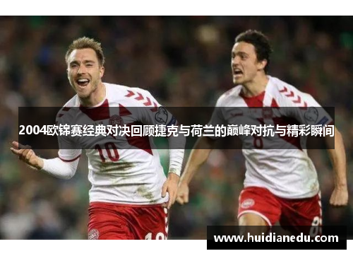 2004欧锦赛经典对决回顾捷克与荷兰的巅峰对抗与精彩瞬间